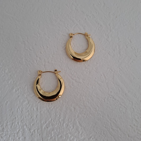 Gold plated stainless earring
