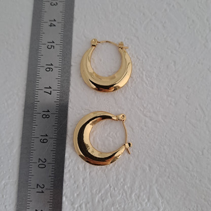 Gold plated stainless earring